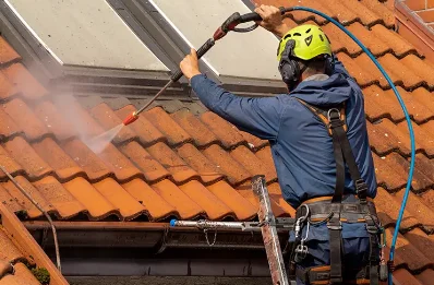 Démoussage et hydrofuge de toiture à Chérence